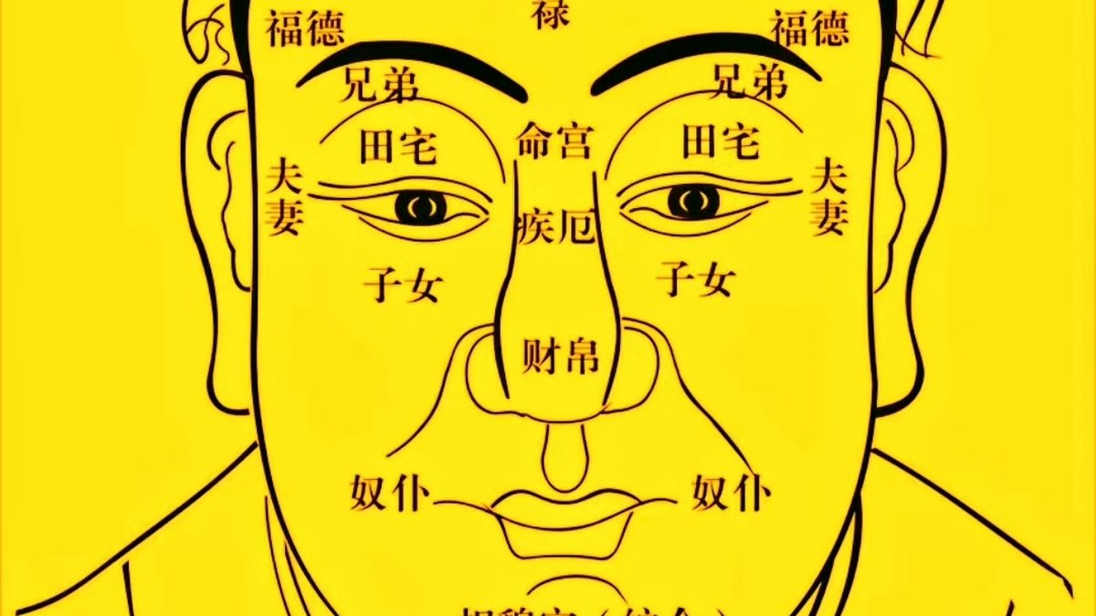 Your Face Is a Fortune Map: Chinese Face Reading for Beginners
